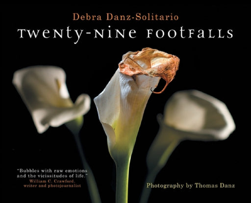 Twenty-Nine Footfalls by Debra Danz-Solitario