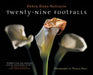Twenty-Nine Footfalls by Debra Danz-Solitario