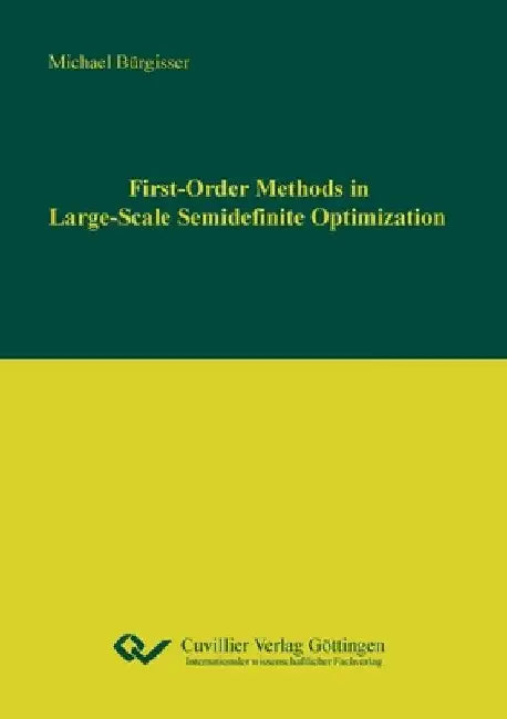 First-Order Methods in Large-Scale Semidenite Optimization by Michael Bürgisser