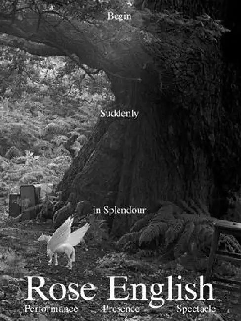 Begin Suddenly in Splendour by Rose English