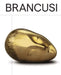 Brancusi by Constantin Brancusi