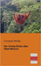 Der Orang-Outan Oder Wald-Mensch by Pfeiffer, Christoph