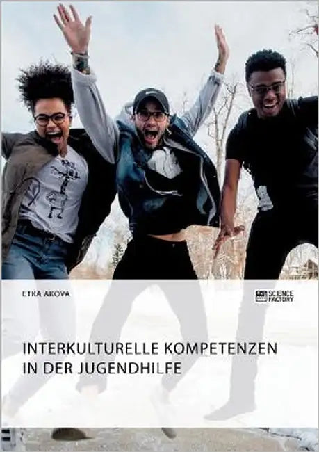 Interkulturelle Kompetenzen in der Jugendhilfe by Akova, Etka
