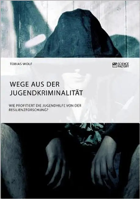 Wege aus der Jugendkriminalität. Wie profitiert die Jugendhilfe von der Resilienzforschung? by Wolf, Tobias