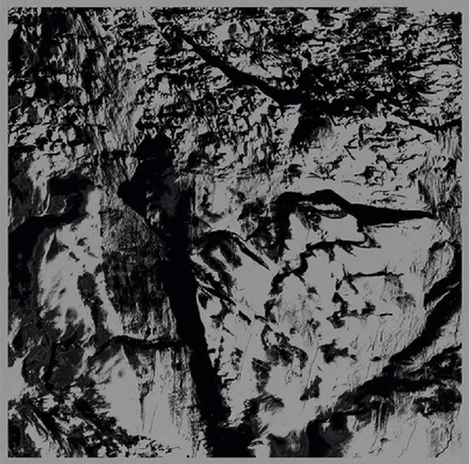 Michel Comte: Light by Michel Comte