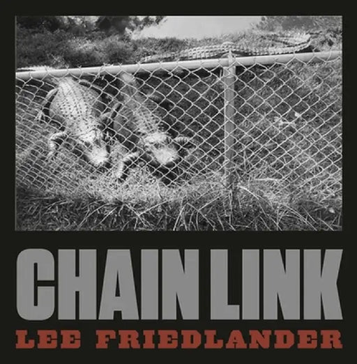 Lee Friedlander: Chain Link by Lee Friedlander