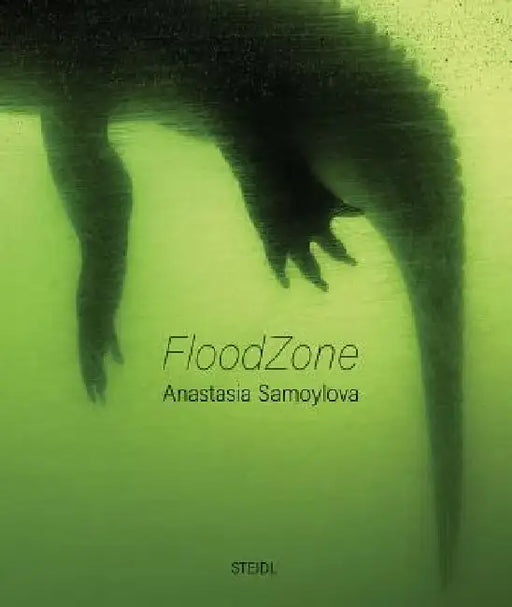 Anastasia Samoylova: Floodzone by Anastasia Samoylova