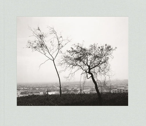 Robert Adams: Los Angeles Spring by Robert Adams