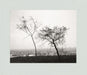 Robert Adams: Los Angeles Spring by Robert Adams