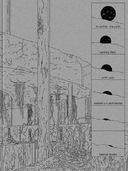 Sammy Stein: The Path: With Ateliers O-S Architectes by Sammy Stein, Vincent Baur, Guillaume Colboc