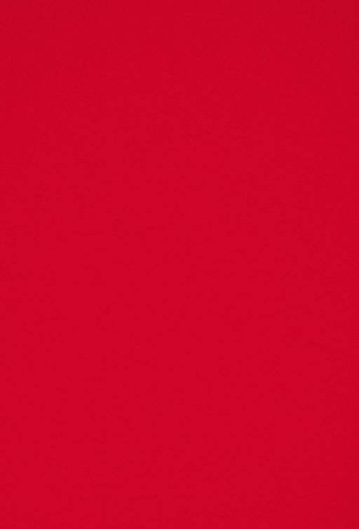 Silvia Rosi: Protektorat: C/O Berlin Talent Award 2024 by Silvia Rosi, Veronika Epple, Katrin Bauer