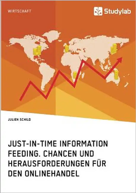 Just-in-Time Information Feeding. Chancen und Herausforderungen für den Onlinehandel by Schild, Julien