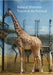 Natural Histories: Traces of the Political by Rainer Fuchs, Rainer Fuchs, Nuit Banai
