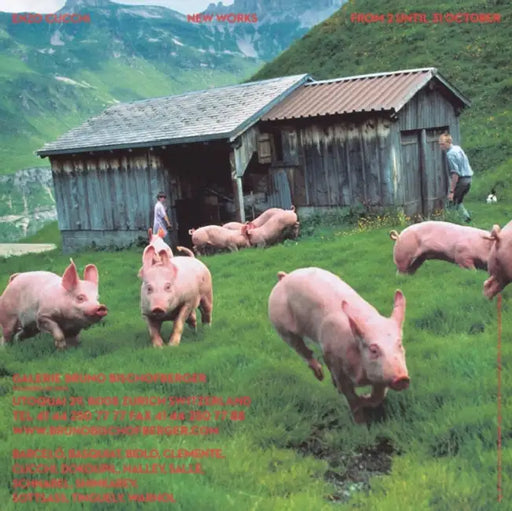 147 Backcovers: Summer Fall Winter Spring: Anzeigen Galerie Bischofberger by Peter Fischli, Hilar Stadler