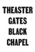 Theaster Gates: Black Chapel by Theaster Gates, Anna Schneider, Dimona Stöckle