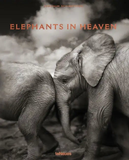 Elephants in Heaven by Joachim Schmeisser