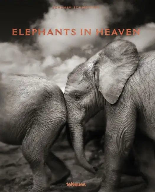 Elephants in Heaven by Joachim Schmeisser