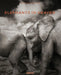 Elephants in Heaven by Joachim Schmeisser