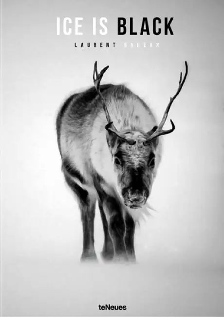 Ice Is Black by Laurent Baheux