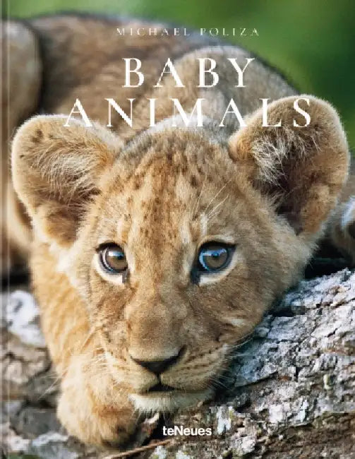 Baby Animals by Michael Poliza