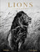 Lions by Laurent Baheux