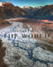 The World by Michael Poliza
