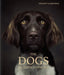 The Dogs: Human Animals by Vincent Lagrange