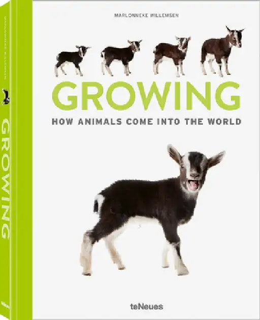 Growing: How Animals Come Into Our World by Marlownneke Willemsen