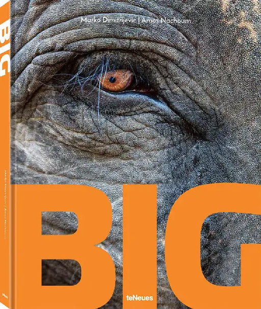 Big: A Photographic Album of the World's Largest Animals by Amos Nachoum