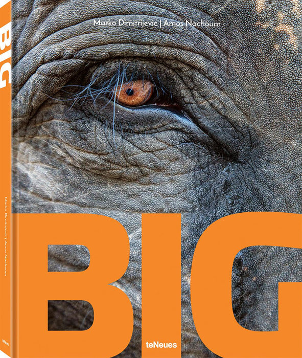 Big: A Photographic Album of the World's Largest Animals
