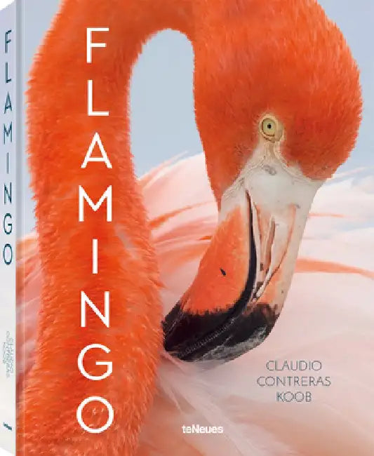 Flamingo by Claudio Contreras Koob