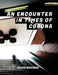 An Encounter in Times of Corona by Talissa Mehringer