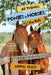 All Things Ponies & Horses For Kids: Filled With Plenty of Facts, Photos, and Fun to Learn all About Horses by Animal Reads