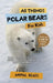 All Things Polar Bears For Kids: Filled With Plenty of Facts, Photos, and Fun to Learn all About Polar Bears by Animal Reads