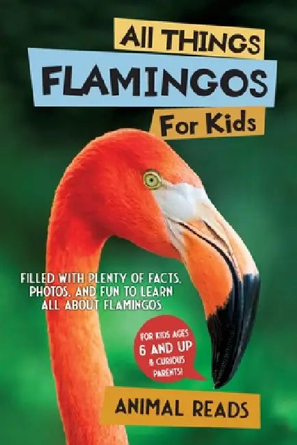 All Things Flamingos For Kids: Filled With Plenty of Facts, Photos, and Fun to Learn all About Flamingos by Animal Reads