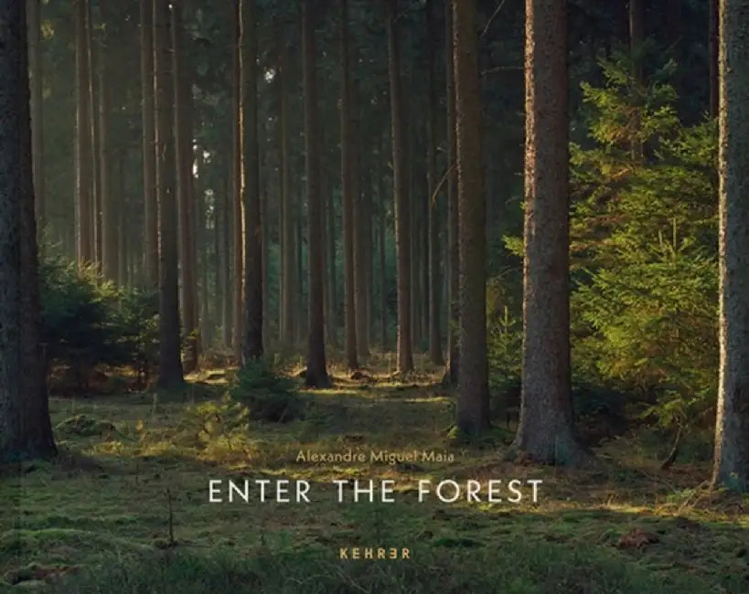 Enter the Forest by Alexandre Miguel Maia