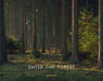 Enter the Forest by Alexandre Miguel Maia