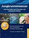 Jungbrunnenwasser: Vom Normalen zum Gesunden mit ionisiertem Wasser by Dietmar Ferger