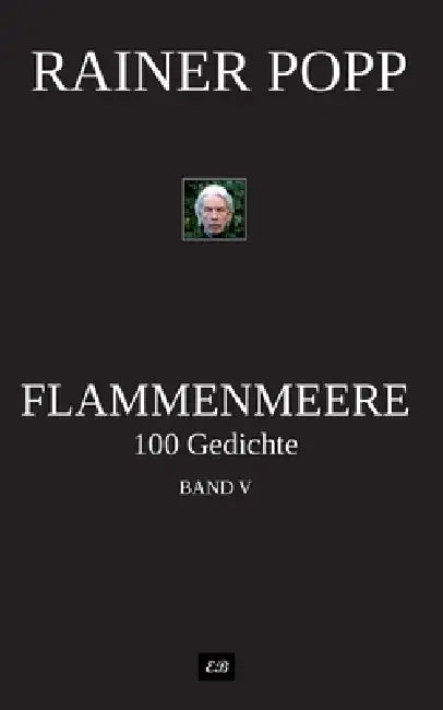Flammenmeere: 100 Gedichte Band 5 by Rainer Popp