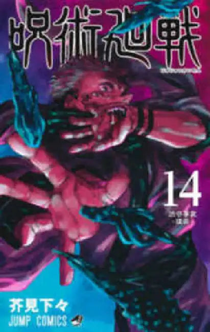 Jujutsu Kaisen 14 by Ryomen Sukune