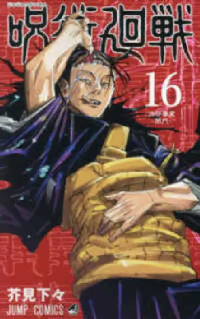 Jujutsu Kaisen 16 by Ryomen Sukune