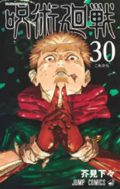 Jujutsu Kaisen 30 by Gege Akutami