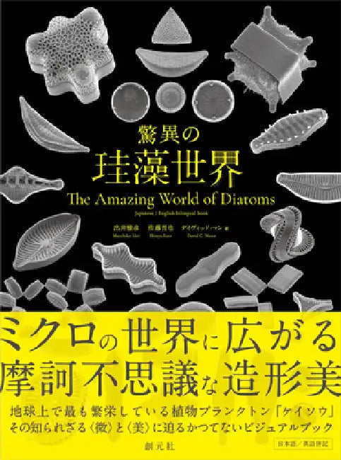 The Amazing World of Diatoms by Masahiko Idei, Shinya Sato, David Mann