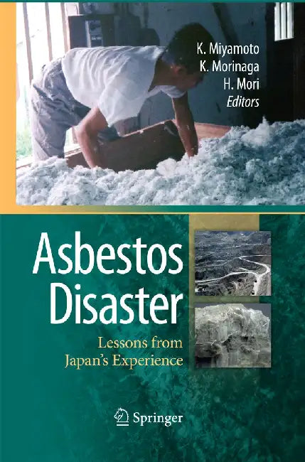 Asbestos Disaster: Lessons from Japan's Experience by Kenichi Miyamoto