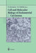 Cell and Molecular Biology of Endometrial Carcinoma by H. Kuramoto