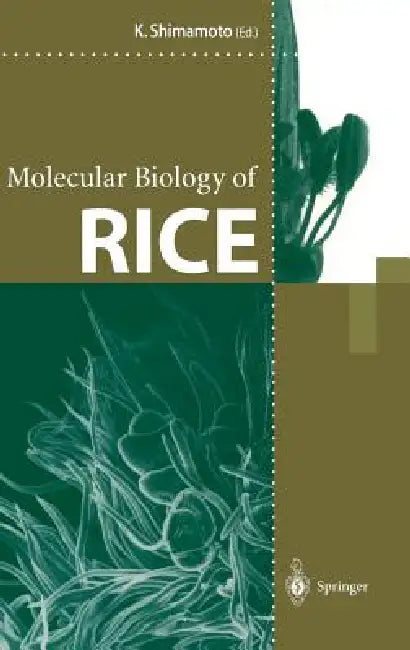 Molecular Biology of Rice by Ko Shimamoto