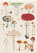 100 Writing and Crafting Papers of Mushrooms by Pie International