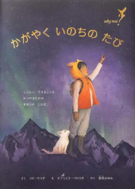 Why Not?: A Story about Discovering Our Bright Possibilities by Kobi Yamada