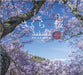 Sakura: Cherry Blossoms of Ina Valley by Yuji Tsuno