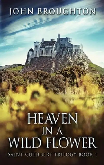 Heaven In A Wild Flower: Tale Of An Anglo-Saxon Leatherworker On Lindisfarne by John Broughton